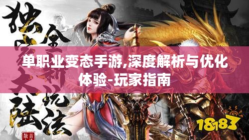单职业变态手游,深度解析与优化体验-玩家指南