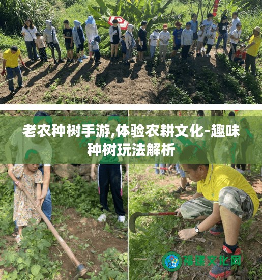 老农种树手游,体验农耕文化-趣味种树玩法解析