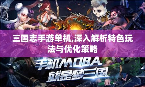 三国志手游单机,深入解析特色玩法与优化策略