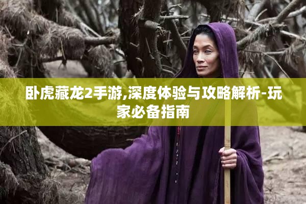 卧虎藏龙2手游,深度体验与攻略解析-玩家必备指南