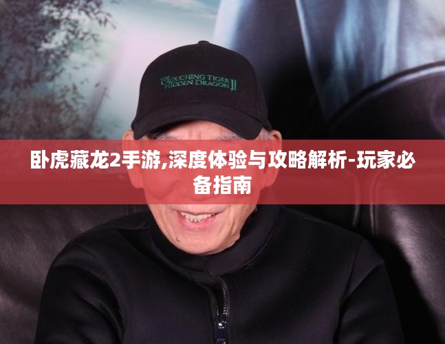 卧虎藏龙2手游,深度体验与攻略解析-玩家必备指南
