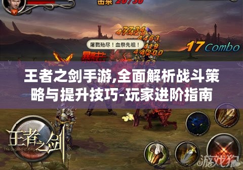 王者之剑手游,全面解析战斗策略与提升技巧-玩家进阶指南