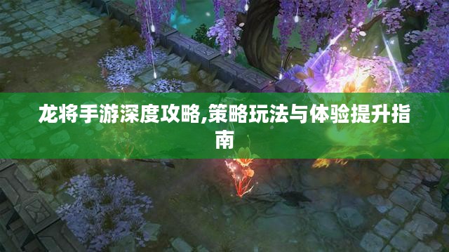 龙将手游深度攻略,策略玩法与体验提升指南