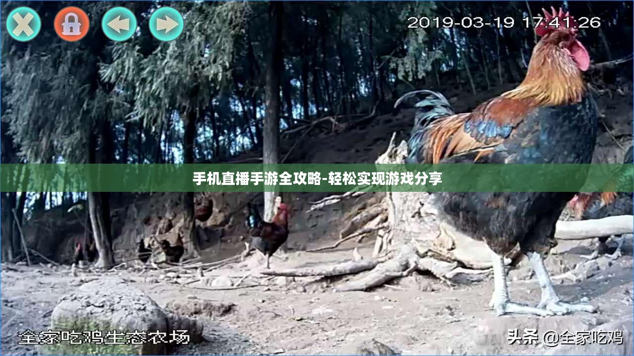 手机直播手游全攻略-轻松实现游戏分享