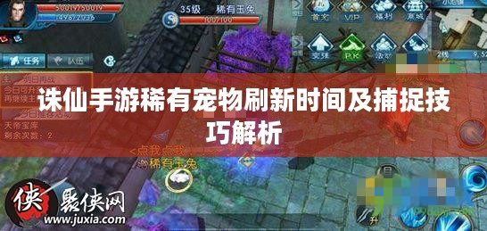 诛仙手游稀有宠物刷新时间及捕捉技巧解析