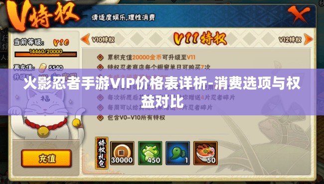 火影忍者手游VIP价格表详析-消费选项与权益对比