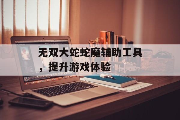 无双大蛇蛇魔辅助工具，提升游戏体验