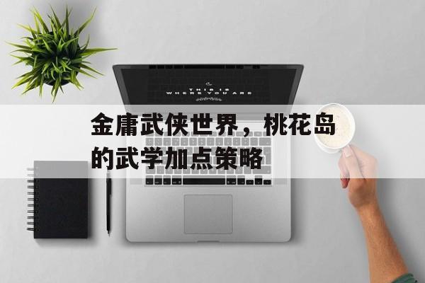 金庸武侠世界，桃花岛的武学加点策略