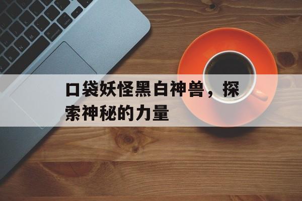口袋妖怪黑白神兽，探索神秘的力量