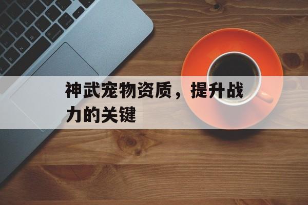 神武宠物资质，提升战力的关键