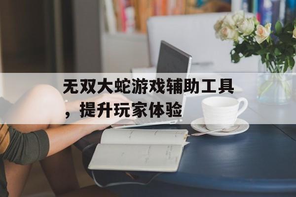 无双大蛇游戏辅助工具，提升玩家体验