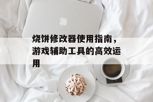 烧饼修改器使用指南，游戏辅助工具的高效运用