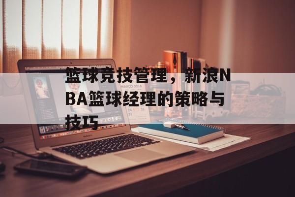 篮球竞技管理，新浪NBA篮球经理的策略与技巧