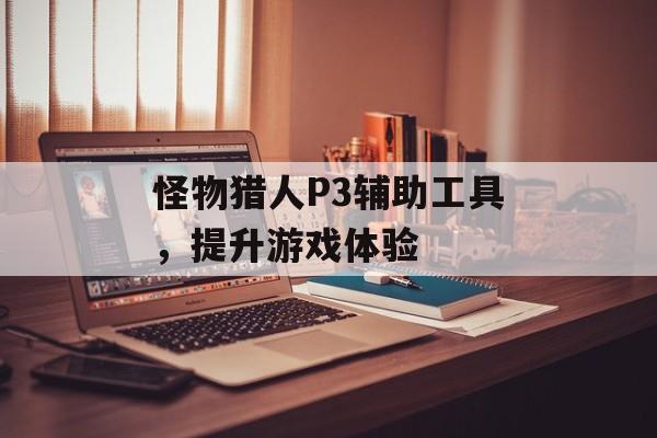 怪物猎人P3辅助工具，提升游戏体验