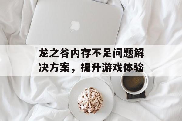 龙之谷内存不足问题解决方案，提升游戏体验