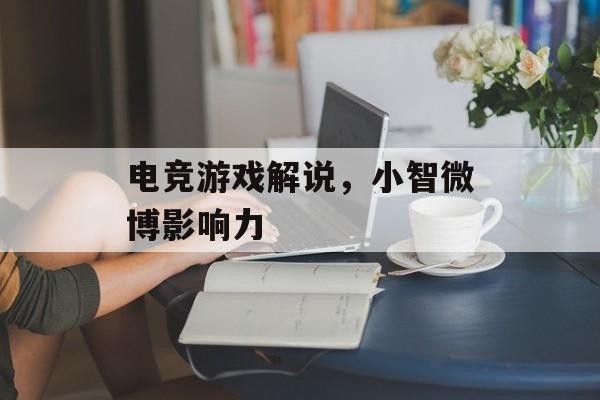 电竞游戏解说，小智微博影响力