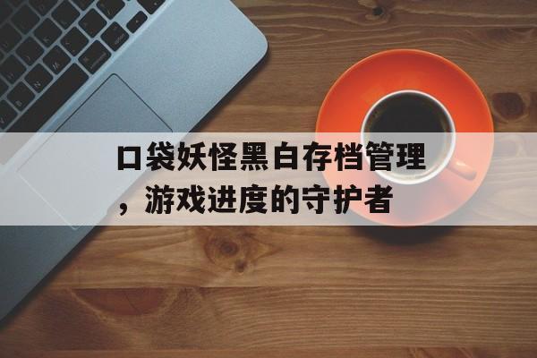 口袋妖怪黑白存档管理，游戏进度的守护者