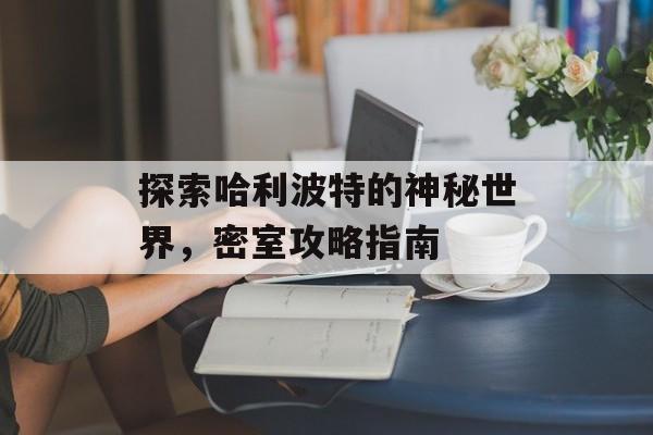探索哈利波特的神秘世界，密室攻略指南