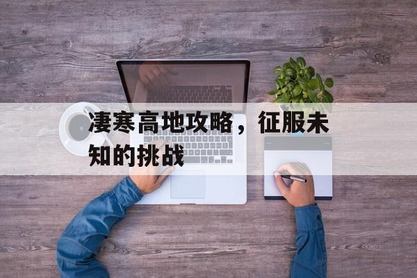 凄寒高地攻略，征服未知的挑战