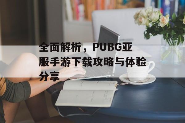 全面解析，PUBG亚服手游下载攻略与体验分享