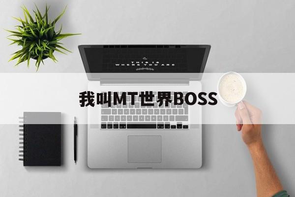 我叫MT世界BOSS