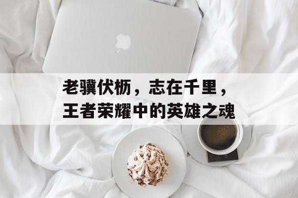 老骥伏枥，志在千里，王者荣耀中的英雄之魂