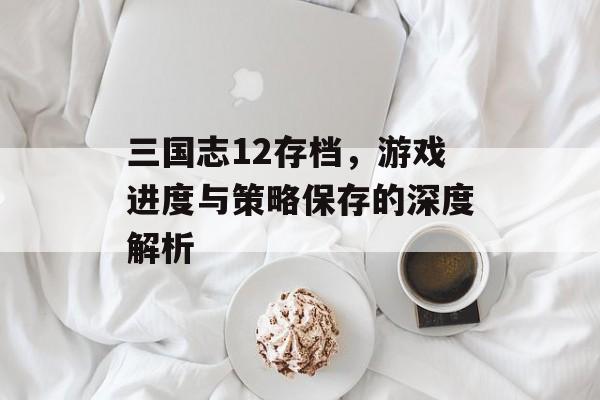 三国志12存档，游戏进度与策略保存的深度解析