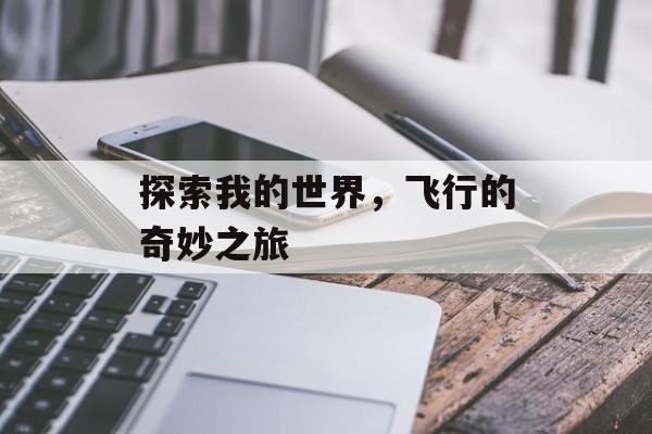 探索我的世界，飞行的奇妙之旅
