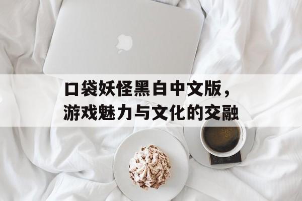 口袋妖怪黑白中文版，游戏魅力与文化的交融