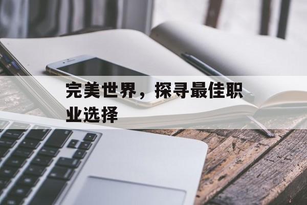 完美世界，探寻最佳职业选择