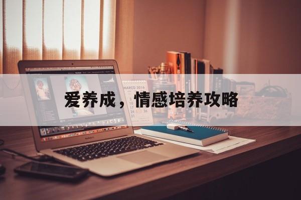 爱养成，情感培养攻略