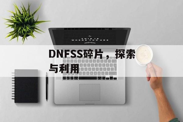 DNFSS碎片，探索与利用