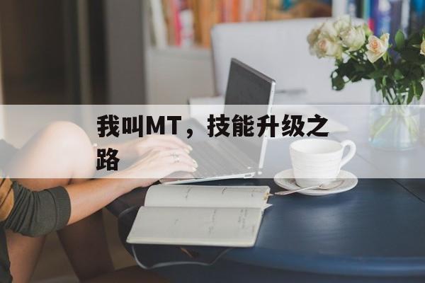 我叫MT，技能升级之路