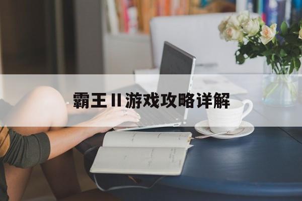 霸王Ⅱ游戏攻略详解
