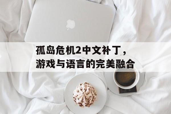 孤岛危机2中文补丁，游戏与语言的完美融合