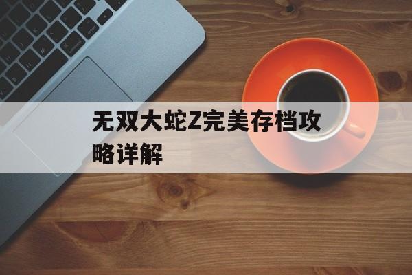 无双大蛇Z完美存档攻略详解