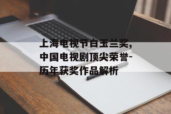 上海电视节白玉兰奖,中国电视剧顶尖荣誉-历年获奖作品解析