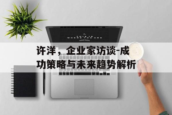 许洋，企业家访谈-成功策略与未来趋势解析