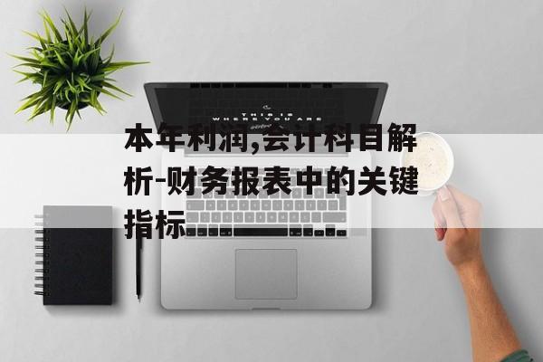 本年利润,会计科目解析-财务报表中的关键指标