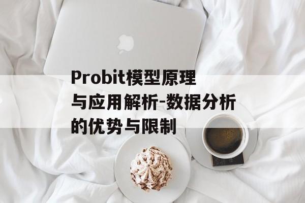 Probit模型原理与应用解析-数据分析的优势与限制