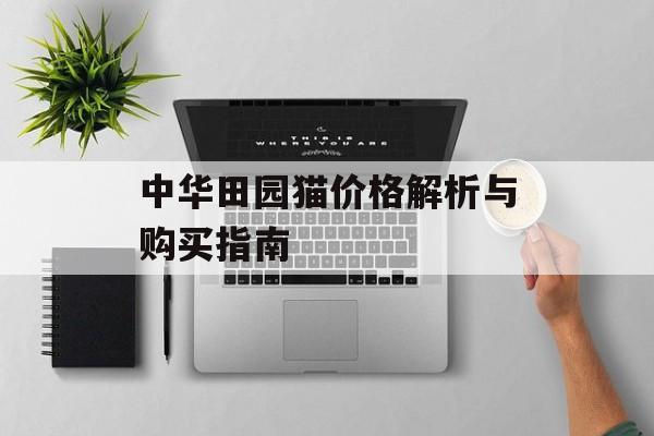中华田园猫价格解析与购买指南