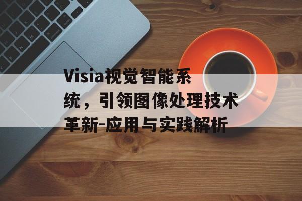 Visia视觉智能系统，引领图像处理技术革新-应用与实践解析