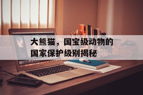 大熊猫，国宝级动物的国家保护级别揭秘