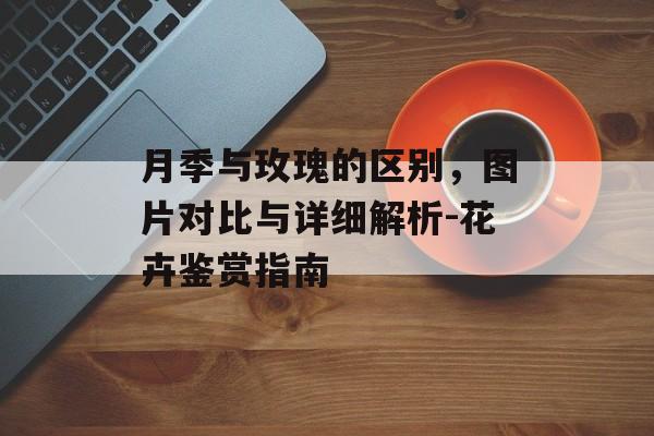 月季与玫瑰的区别，图片对比与详细解析-花卉鉴赏指南