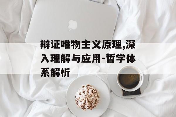 辩证唯物主义原理,深入理解与应用-哲学体系解析