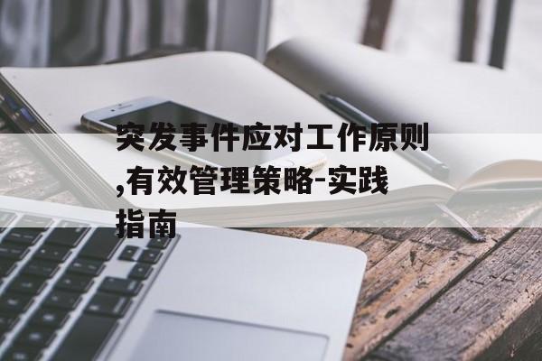 突发事件应对工作原则,有效管理策略-实践指南