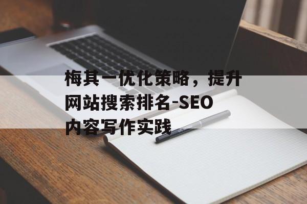 梅其一优化策略，提升网站搜索排名-SEO内容写作实践