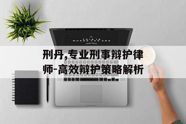 刑丹,专业刑事辩护律师-高效辩护策略解析