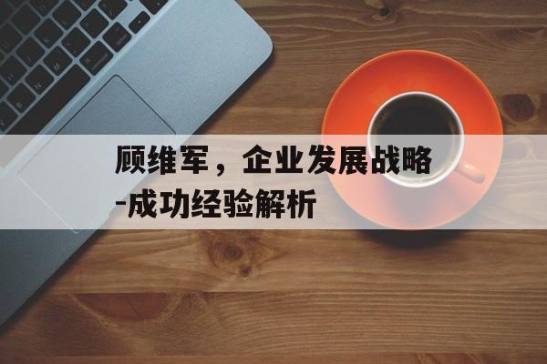 顾维军，企业发展战略-成功经验解析