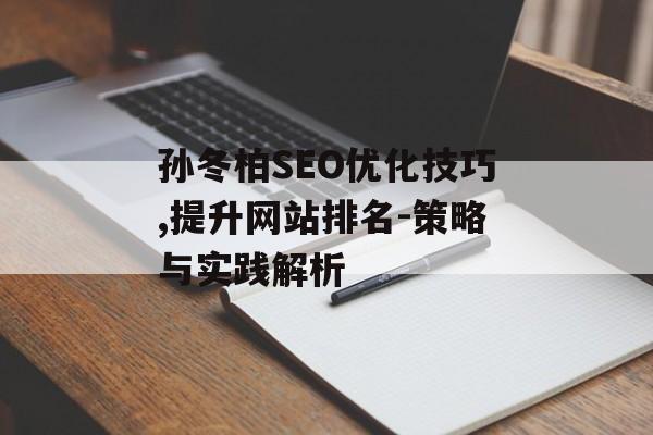 孙冬柏SEO优化技巧,提升网站排名-策略与实践解析